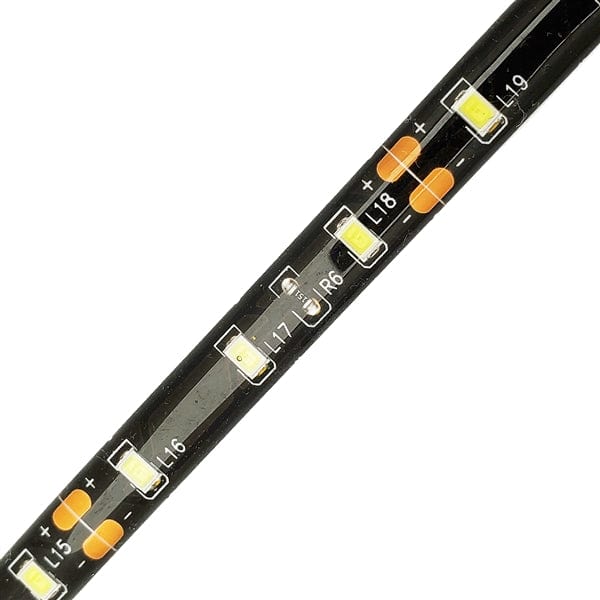Fuse® LED LED Ribbon Lighting Ribbon Light, Cool White, 60leds/m, 8mm, 12V, 12 inch leads, black pcb, IP65 48"