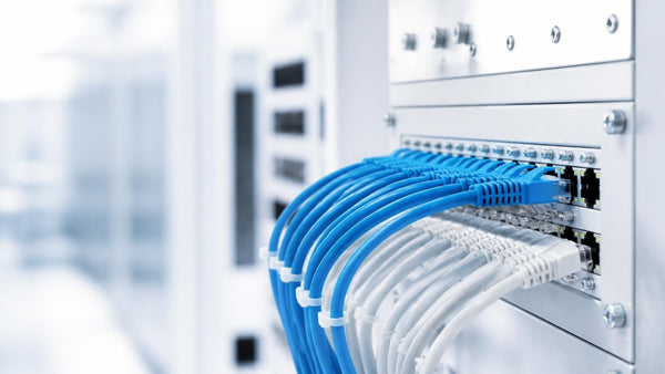 Blue and white Ethernet patch cables connected to a patch panel in a network rack | Conversions Tech