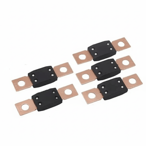 Conversions Tech 【5-1PCS】For MEGA Fuse 30A 40A 50A 60A 70A 80A 100A 120A - 500A 70V For 48V Systems Car Fuse Tools Accessories Superior Quality