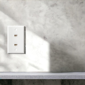 Conversions Technology Keystone Keystone Wall Plate  |  2 Hole,  1-Gang,  White