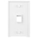 Conversions Technology Keystone Keystone Wall Plate  |  2 Hole,  1-Gang,  White
