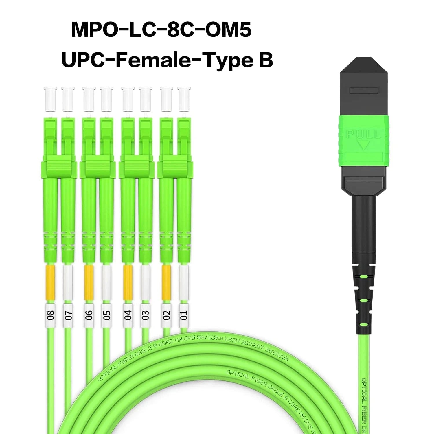 MPO to MPO/LC Fiber Optic Cable OM3/OM4/OM5 8/12Core Multi-Mode Patch ...