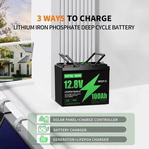 Conversions Tech 100 Ah / 12.8V US WAREHOUSE  Shipping 12V 100Ah LiFePO4 Battery Lithium Battery Built in 100A Smart BMS,  for RV,,Camping Fishing DATOUBOSS